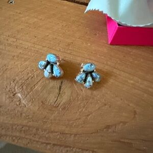 Golden Hills studs. Never worn.